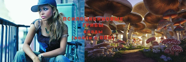 эйфоретик Армянск