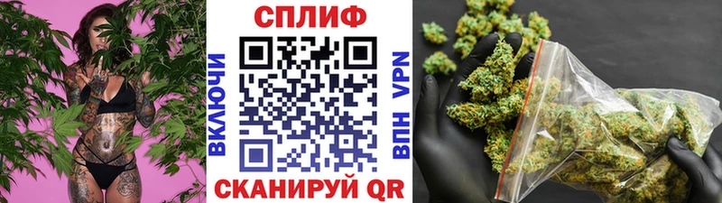 Каннабис конопля  купить   Болотное 